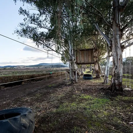 Rural - Las Ciguenas Hotel económico